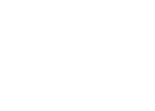 Developer Logo